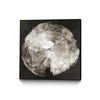 \"Touch Of Darkened Silver\" Canvas Framed Black 20x20 Wall Art