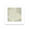 \"Sea Coral I\" Matted and Framed White 36x36 Wall Art