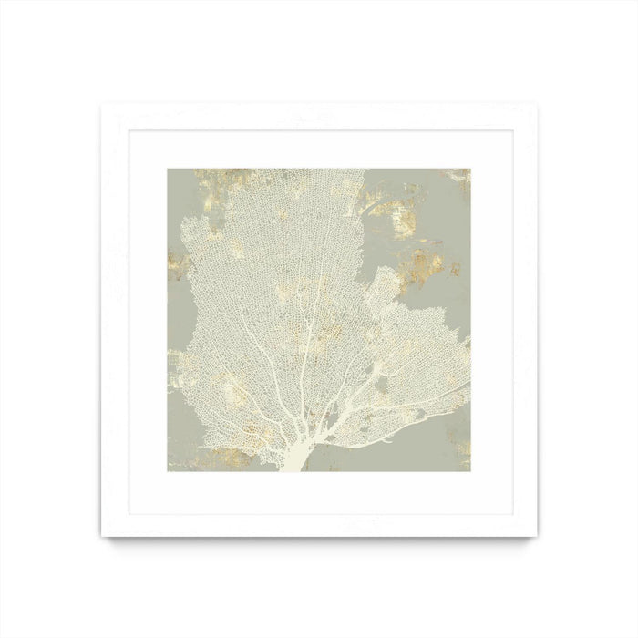 \"Sea Coral I\" Matted and Framed White 36x36 Wall Art
