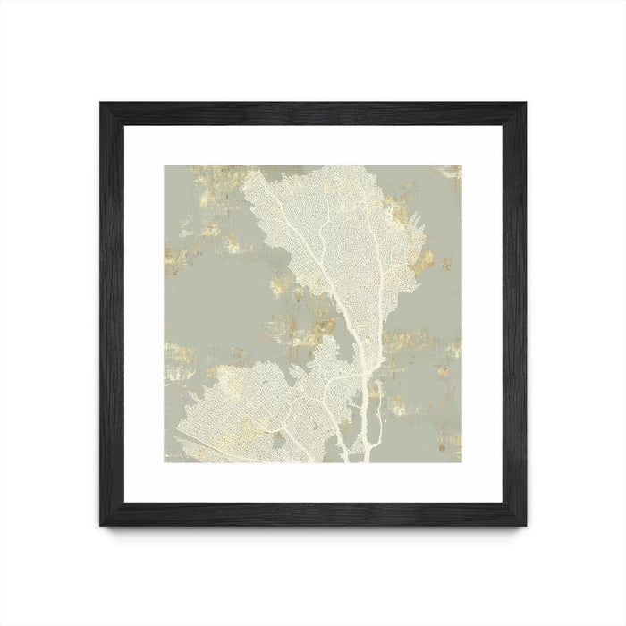 \"Sea Coral Ii\" Matted and Framed Black 36x36 Wall Art