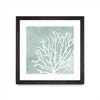 \"Sea Crown Ii\" Matted and Framed Black 36x36 Wall Art