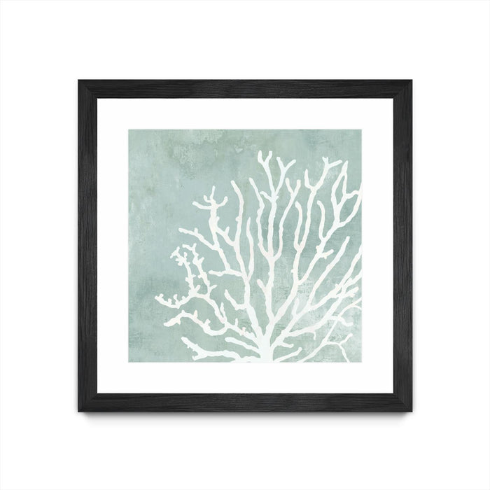 \"Sea Crown Ii\" Matted and Framed Black 36x36 Wall Art