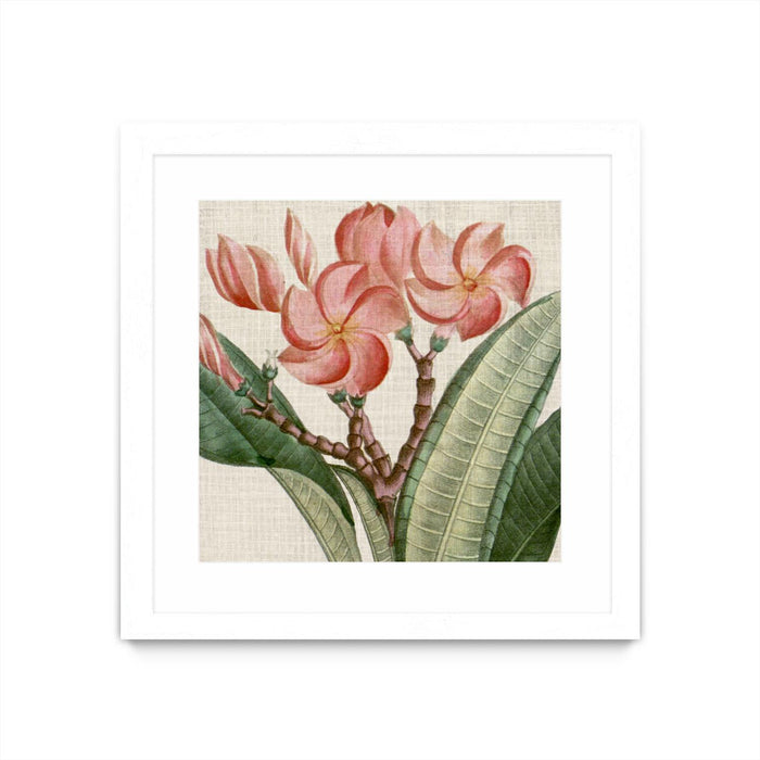 \"Cropped Turpin Tropicals Vii\" Matted and Framed White 36x36 Wall Art