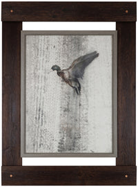 Fly High – 33.25