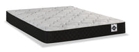 Springwall Autumn Tight Top Twin XL Mattress-in-a-Box 