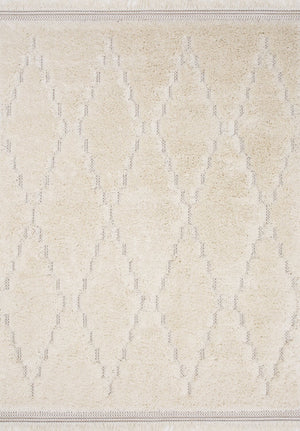 Belgin Area Rug - 8' x 11'