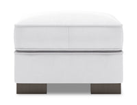 Made in Canada Customizable Sofa Lab Track 24