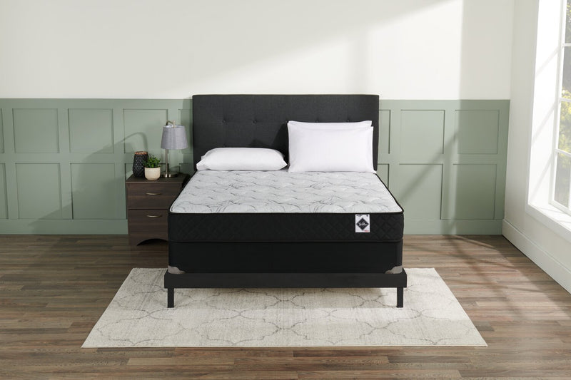 Springwall Autumn Tight Top Low-Profile Queen Mattress-in-a-Box Set