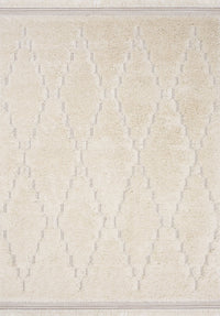 Belgin Area Rug - 5' x 8' 