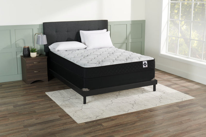 Springwall Autumn Tight Top Low-Profile Queen Mattress-in-a-Box Set
