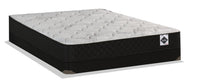 Springwall Autumn Tight Top Low-Profile Queen Mattress-in-a-Box Set 